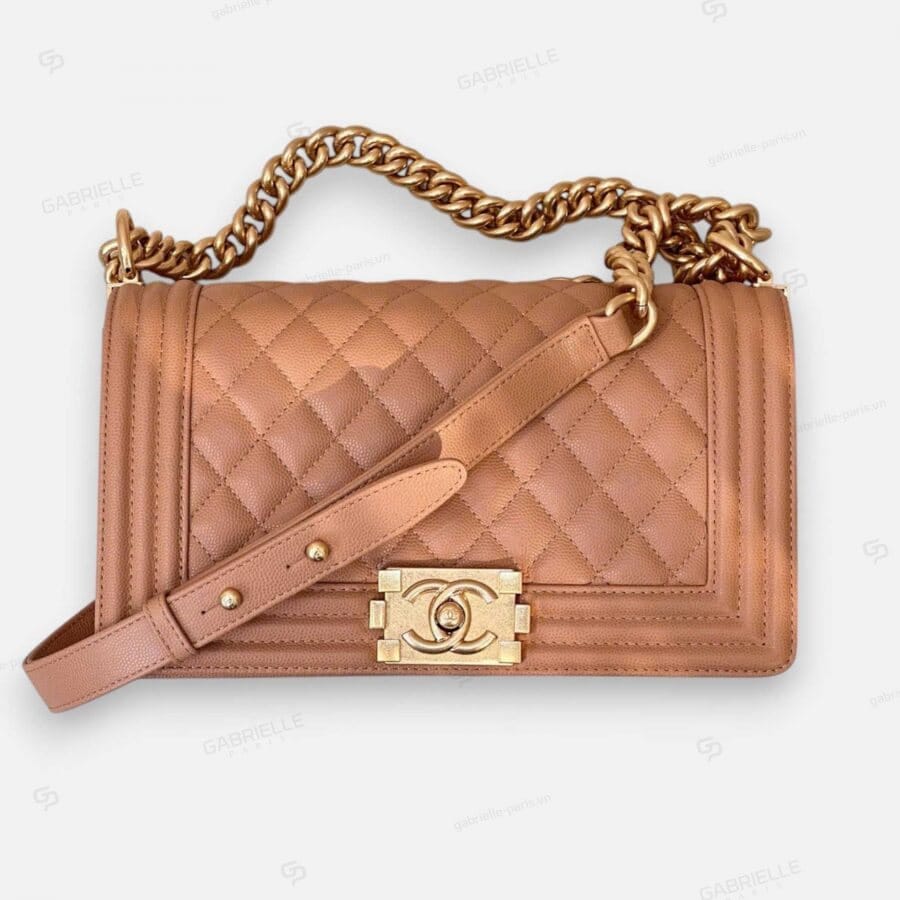 Chanel Leboy HandBag Beige Brown Caviar Leather