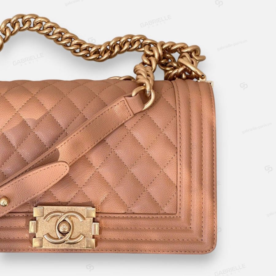 Chanel Leboy HandBag Beige Brown Caviar Leather - Image 2