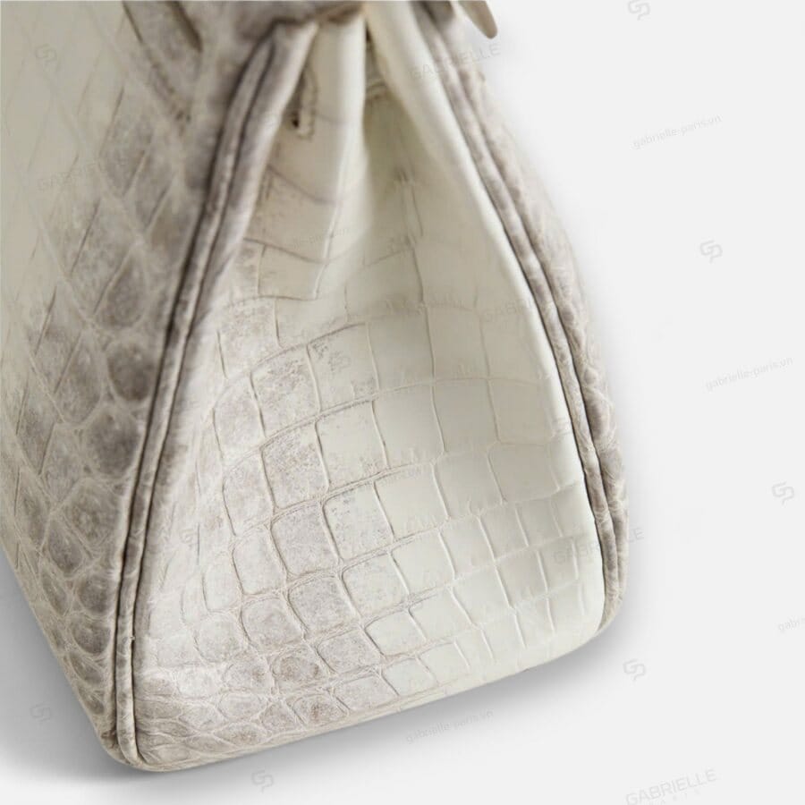 Kelly 25 Himalaya PHW HandBag Niloticus - Image 7