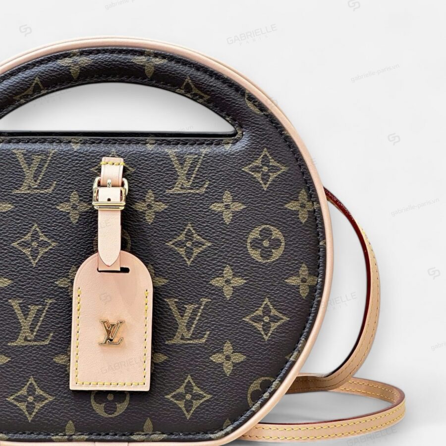 Louis Vuitton Around Me PM Monogram Canvas Handbag - Image 2